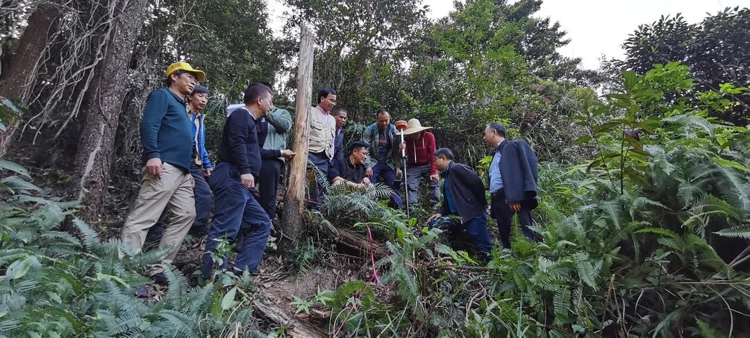 国家林草局中南院检查指导广东森林火灾危害普查事情