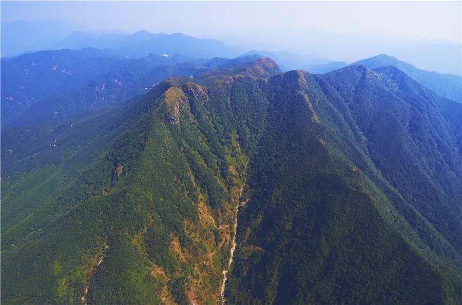 云。貉戏郎只鹪 坚决守护绿水青山