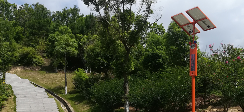 智能森林哨卫系统